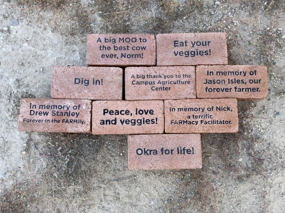 Bricks