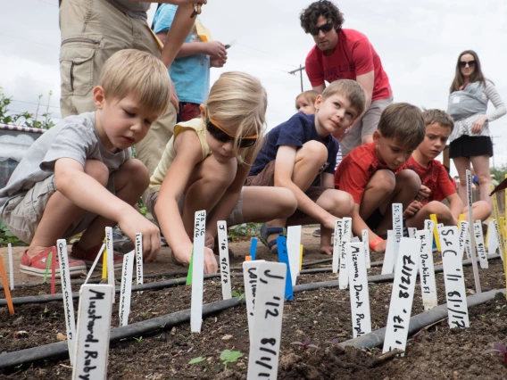 planting