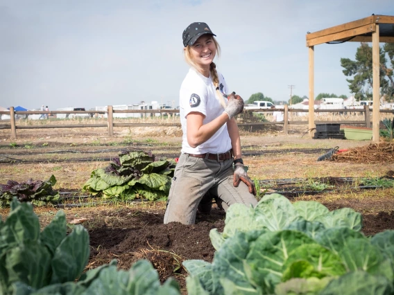 Sarah AmeriCorps