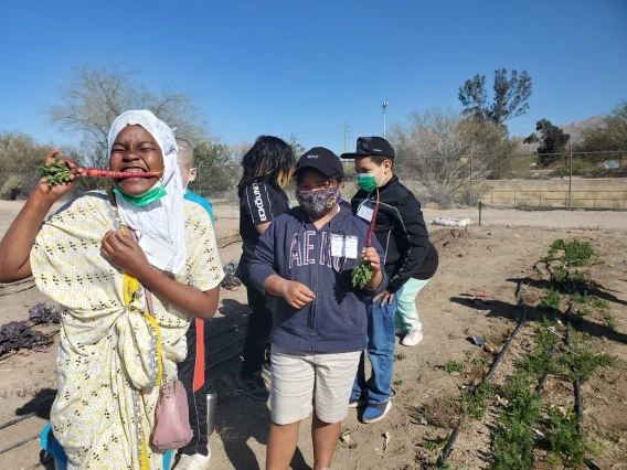 youth on the farm