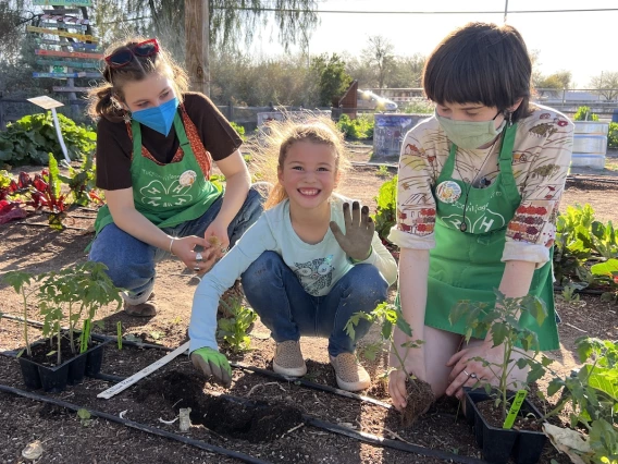 youth on the farm