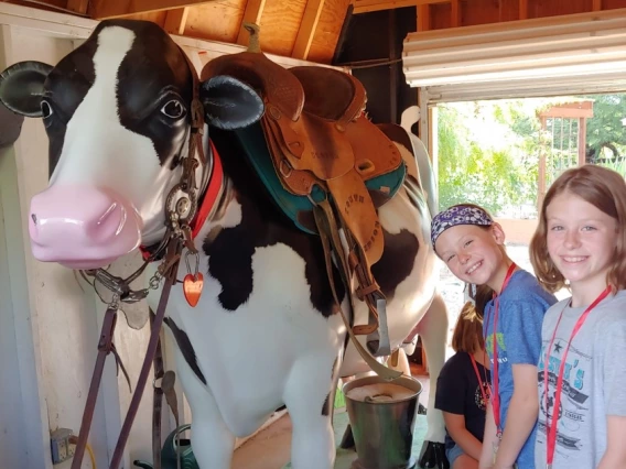 Kids with cow