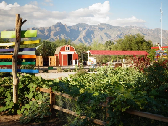 Photo of the farm with Mountain View