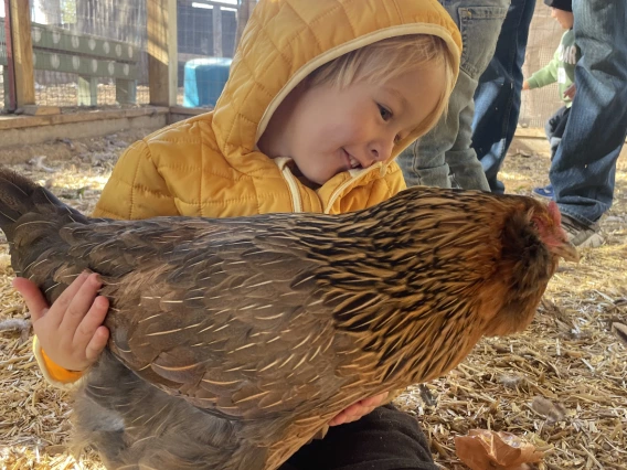 Kid with chicken