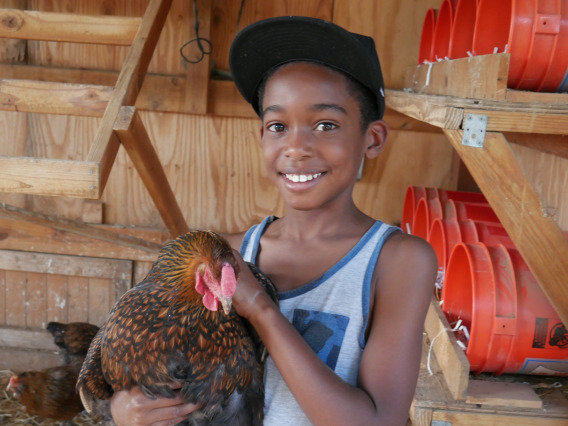 Kid with chicken