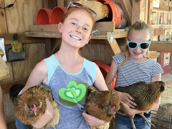 Girls with chickens