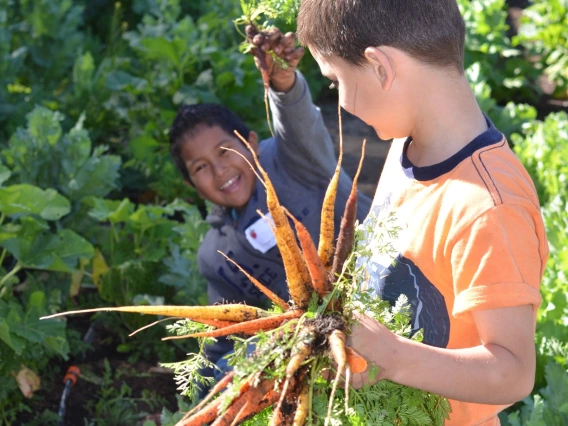 Kids with carrots