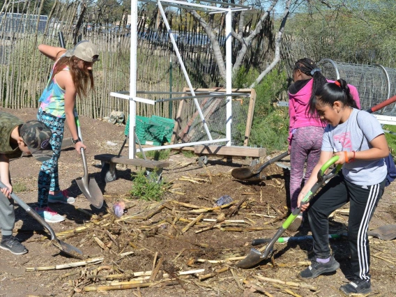 Kids farming