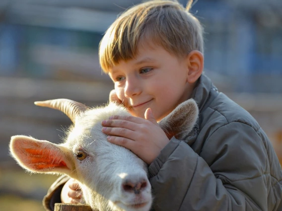 Boy with goat