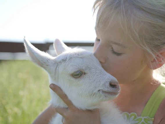 Kid with animal