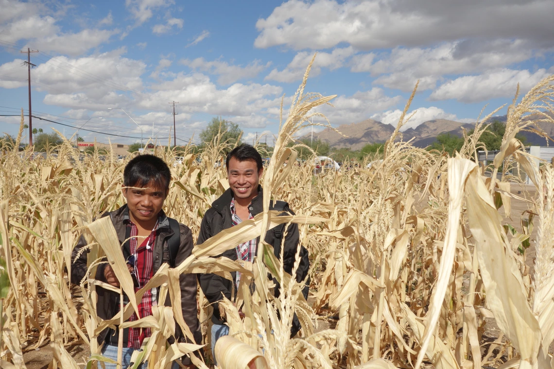 Boys in Wheat Field