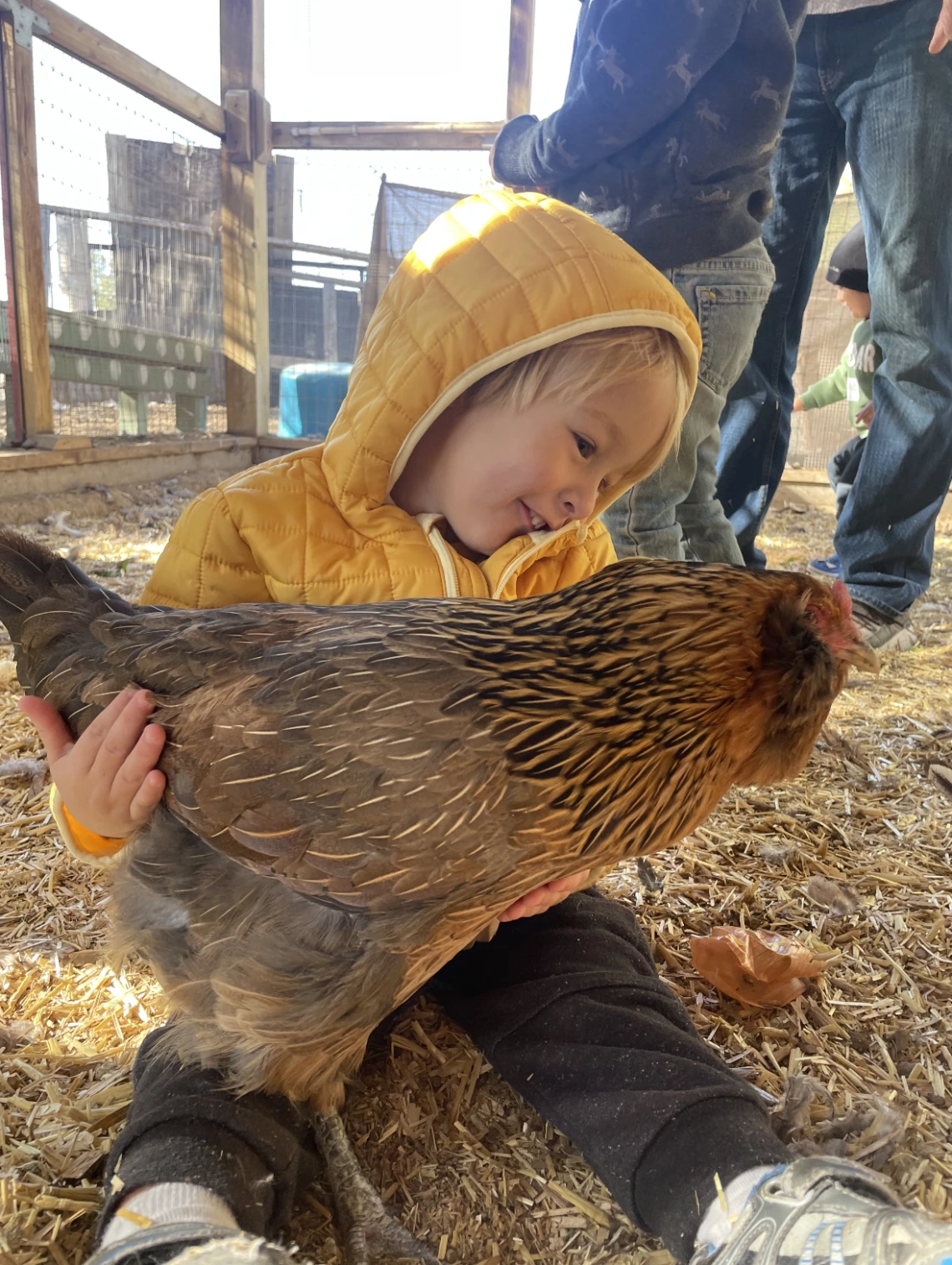 Kid with chicken