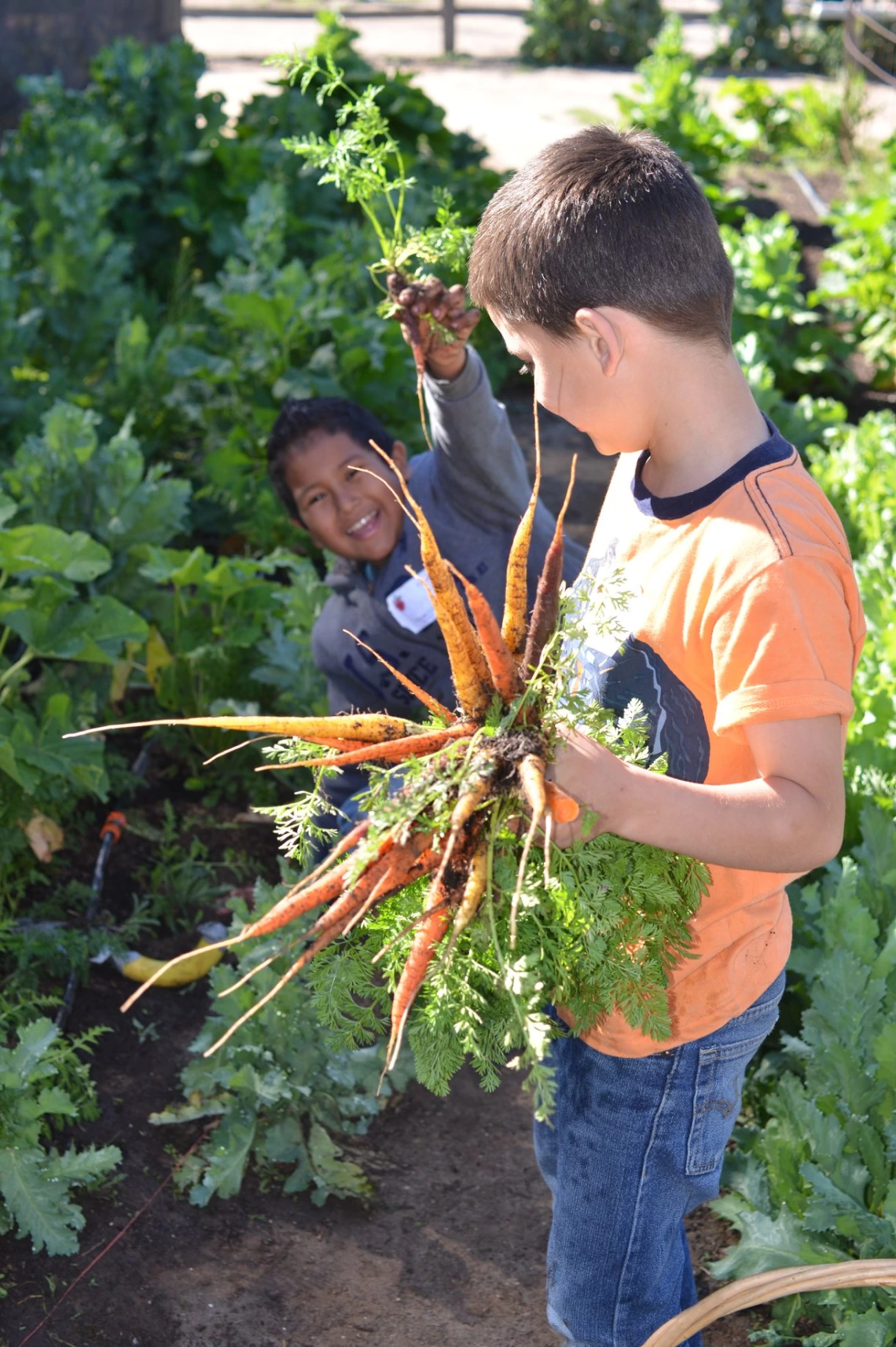 Kids with carrots