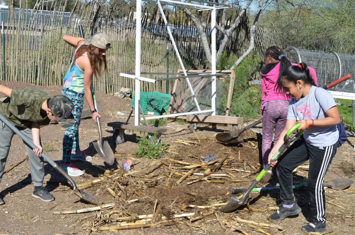 Kids farming