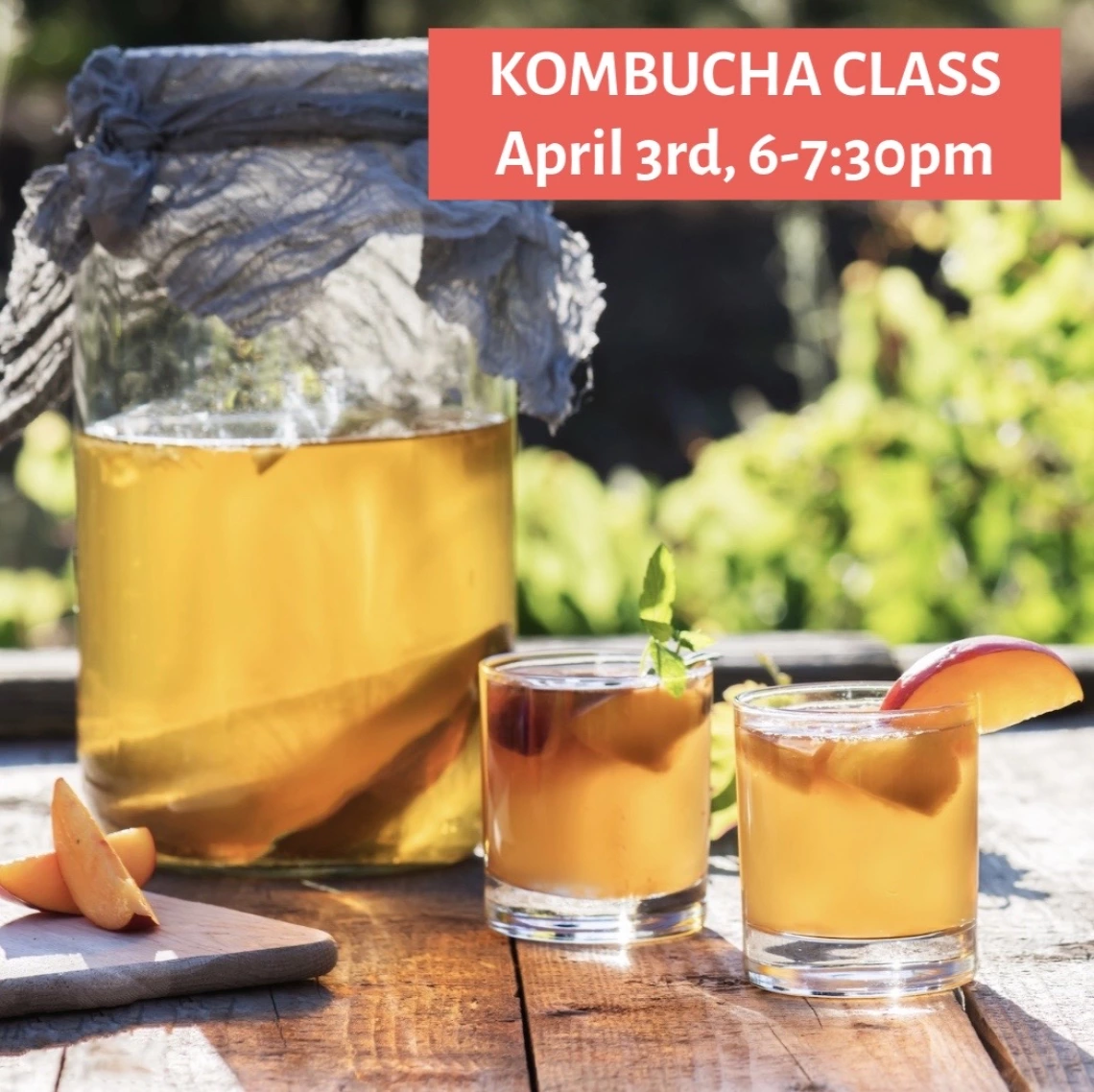 Kombucha