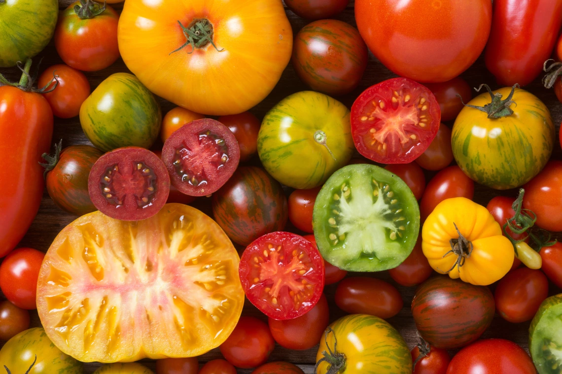 tomatoes