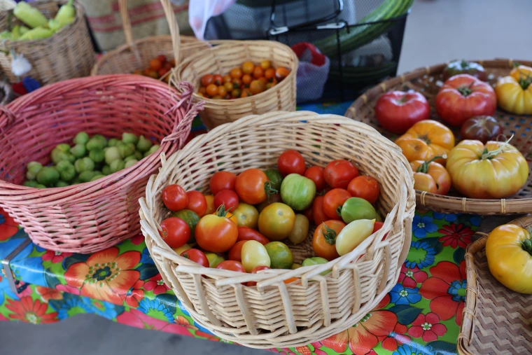 TVF produce
